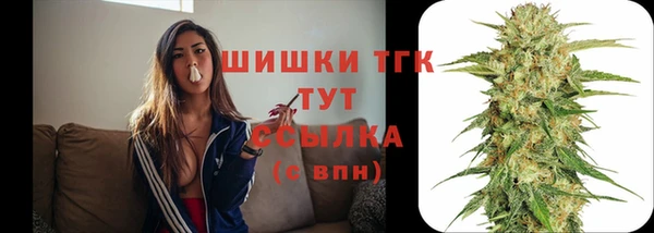 твердый Балахна