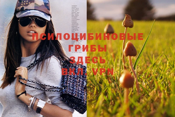 прущая мука Баксан