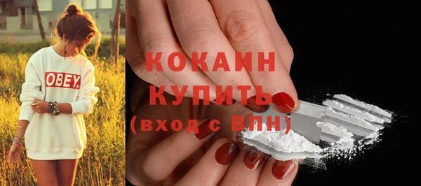 твердый Балахна