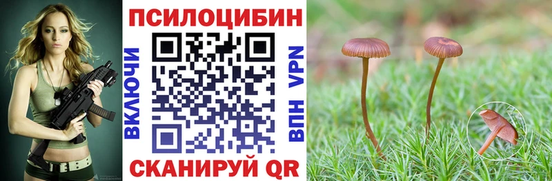 kraken зеркало  Курильск  Псилоцибиновые грибы Psilocybe 